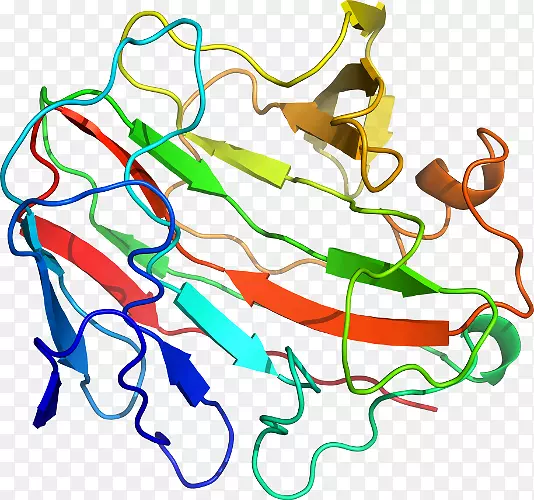 �ߵ������������-������