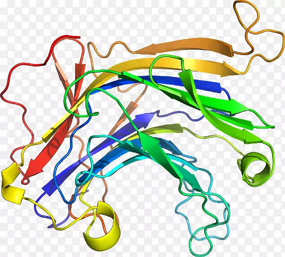 �ߵ������������-������