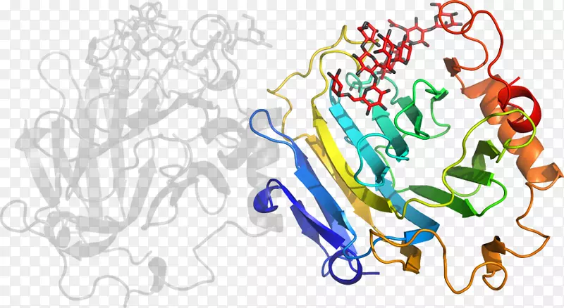 ����ƽ����Ƶ��������-������