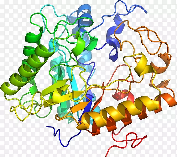 ���߼�����-��-������