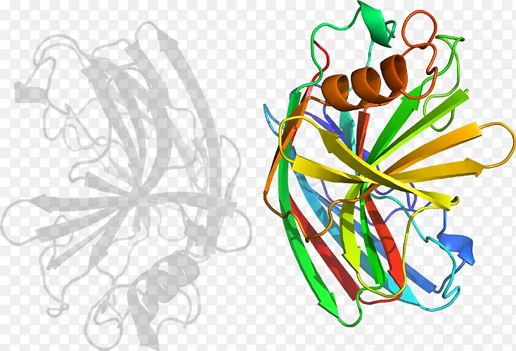 ����������ͼ����Ƽ�������-������