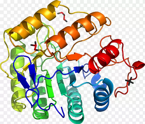 �ߵ�������������-������