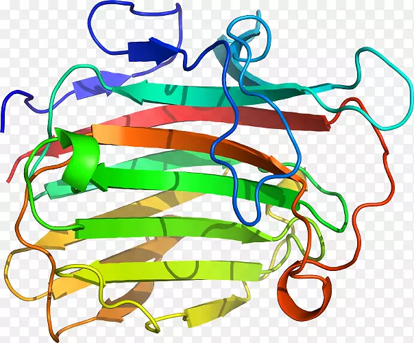 �ߵ������-��-������