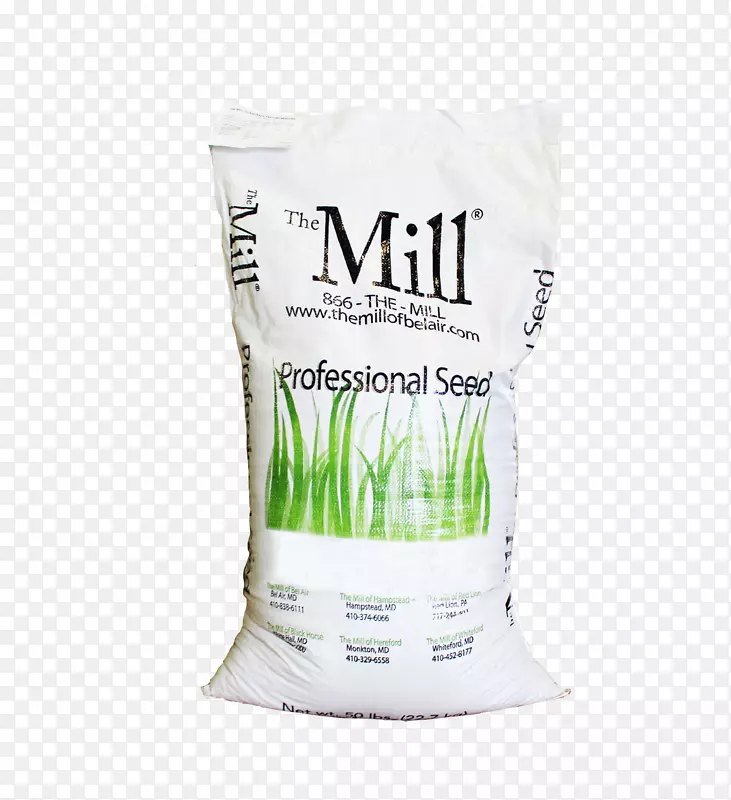 ��Ʒ-������