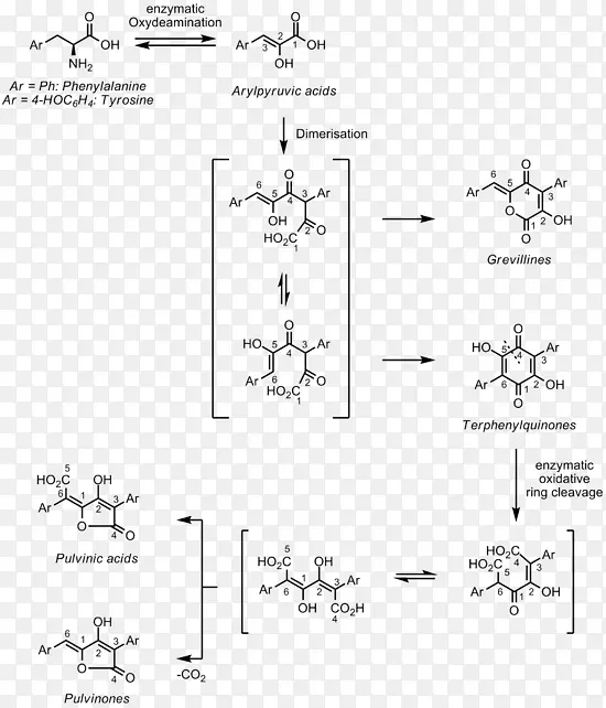 ����άũ�������᷼�㰱����-������