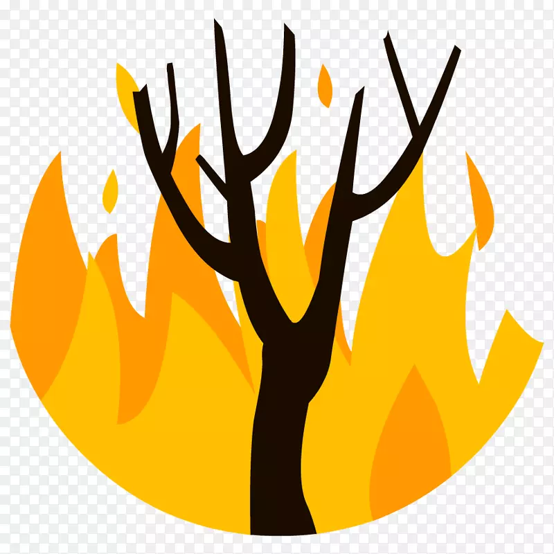 �����ѧ����仯��Ȼ������Ȼ-��ѧ-������