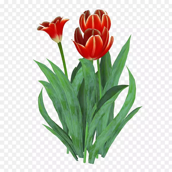 �����㻨�л�-������