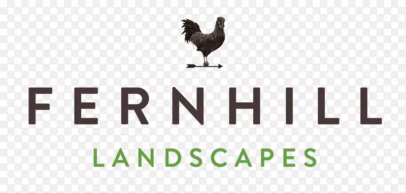 �̱꣺๼���Ϊʳ������-������