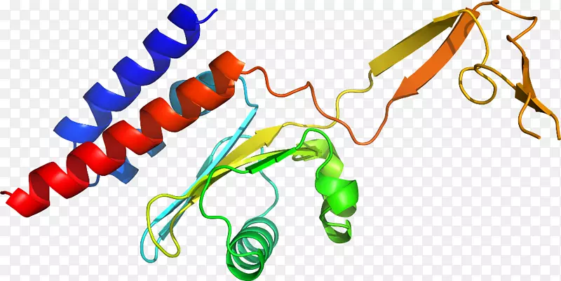 �ߵ������������-������