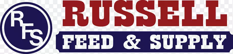 �̱�����-����-������