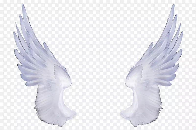 ������-��ʹ���PNG-������