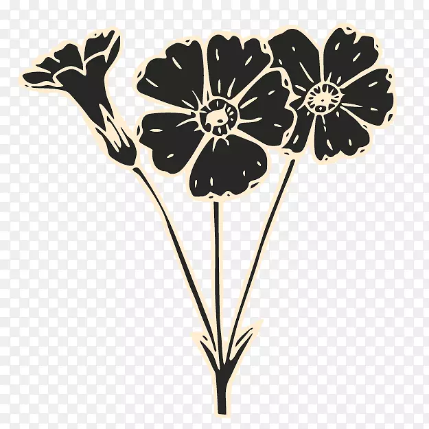 ���꿪��ֲ���л�Ҷֲ��.�¼���-������