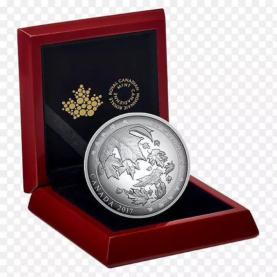 ���ô��Ҽ��ô���Ҷ-������