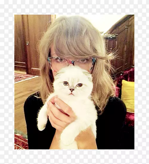 è��è��������-Сè-������