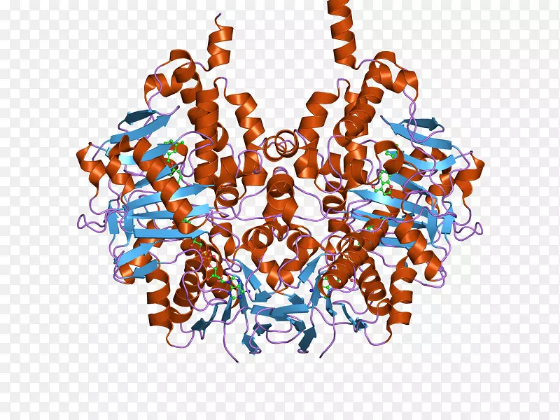 �������鱦����-�鱦-������