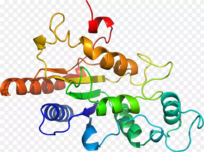 �����߶����������-������