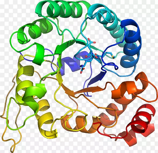 ���������л����߼�������-������