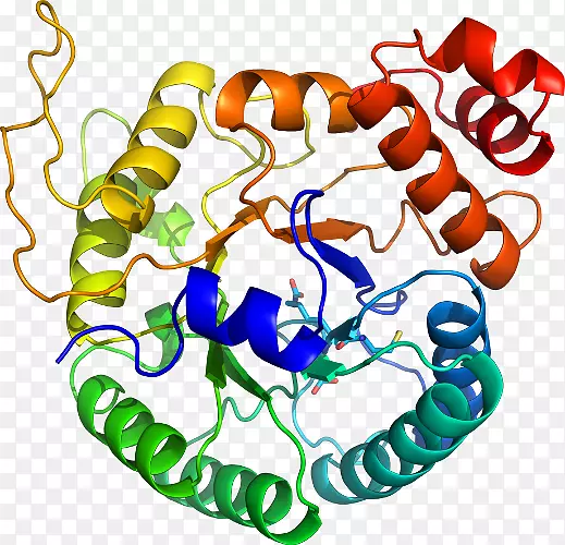 ���������л����߼�������-������