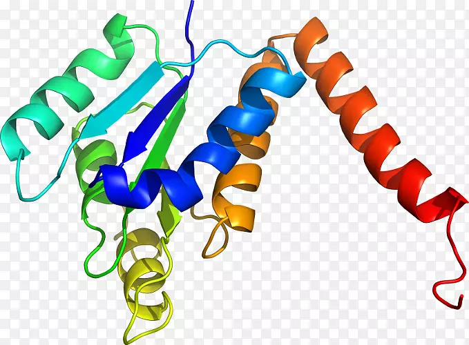 �����߶����������-������