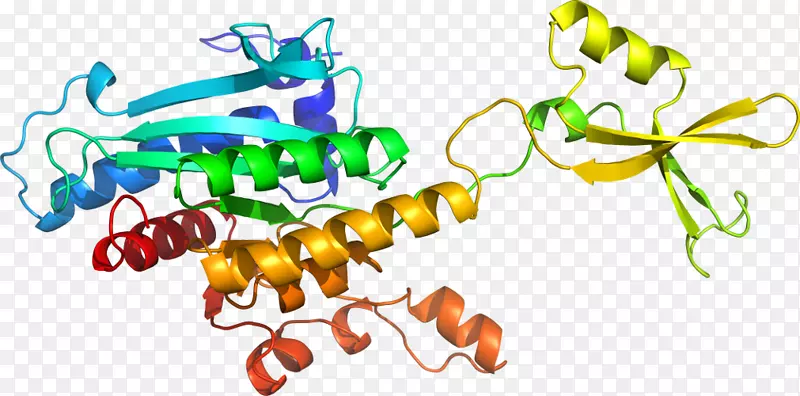 ���������л����߼�������-������