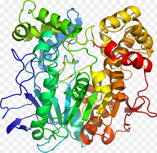 ���������л����߼�������-������