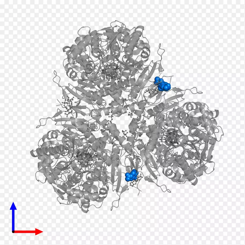 �Ӿ���������ɫ�����鱦����-������