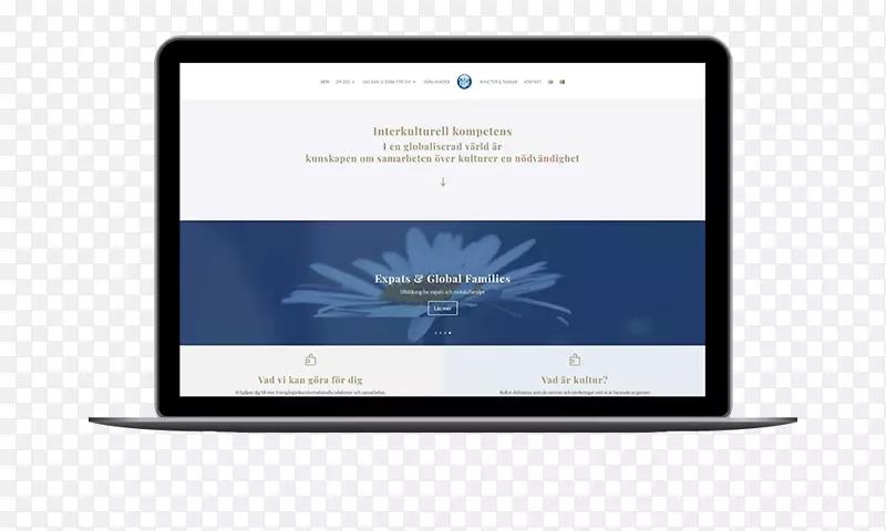 ��Ϊwebstudio�ı��ο���ý��-������