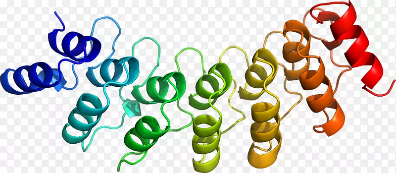 �л��������-������