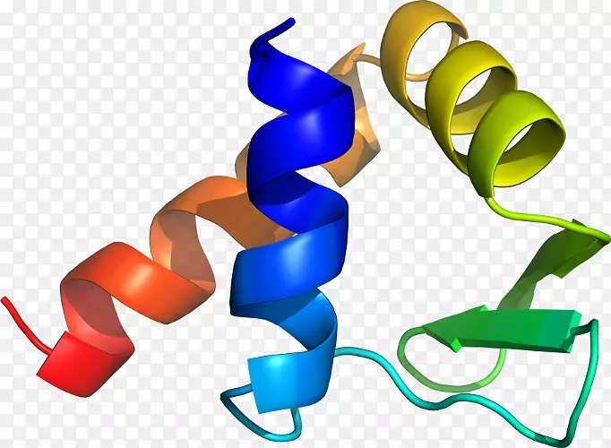 �����鱦������.���-������