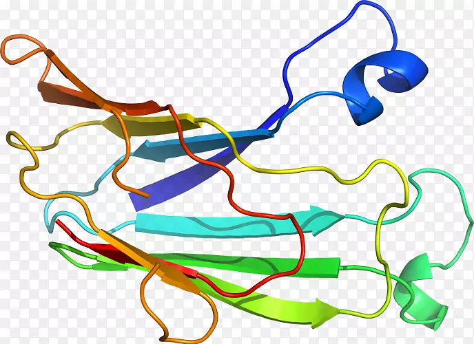 �ߵ������-��-������