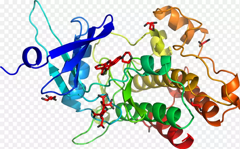 �ߵ������������-������