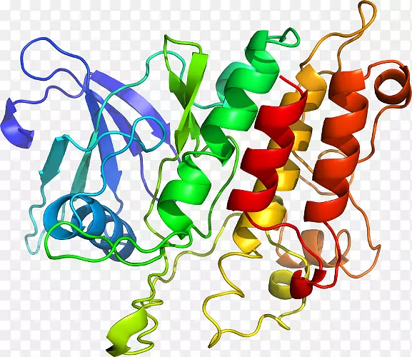 �߲��л���ϵ�м�����-�߲�-������