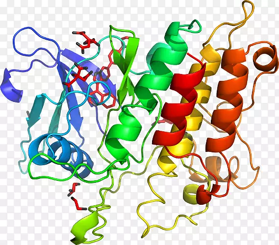 ֱ���߲˵��������-������