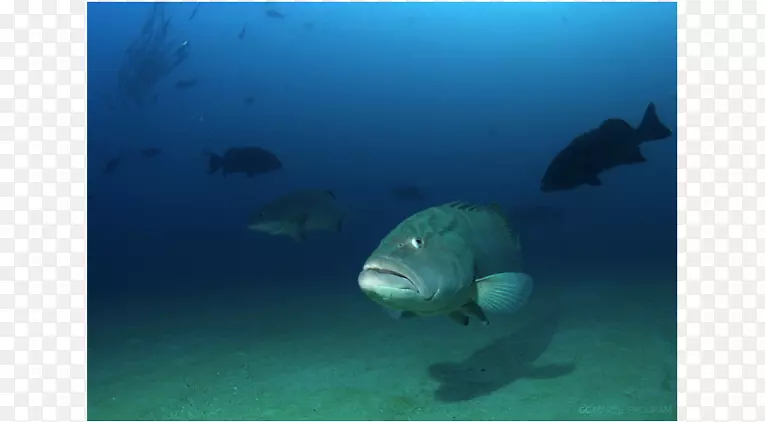 �������ﺣ��ˮ�º���-����-������