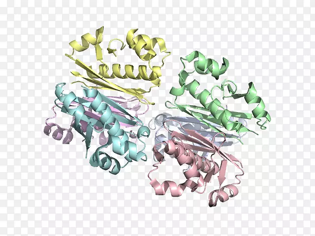 �����鱦��������֬��������;��-������