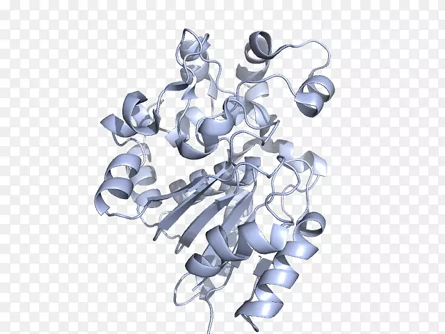 ����Ʒ����֬��������;��-������