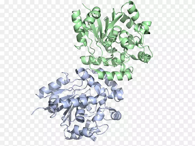 ����֬��������;��-������