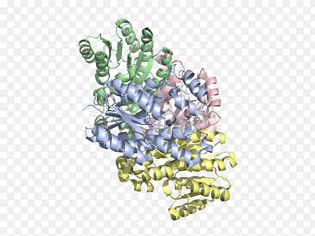 �����鱦����֬��������;��-������