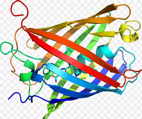 �ߵ������-��-������