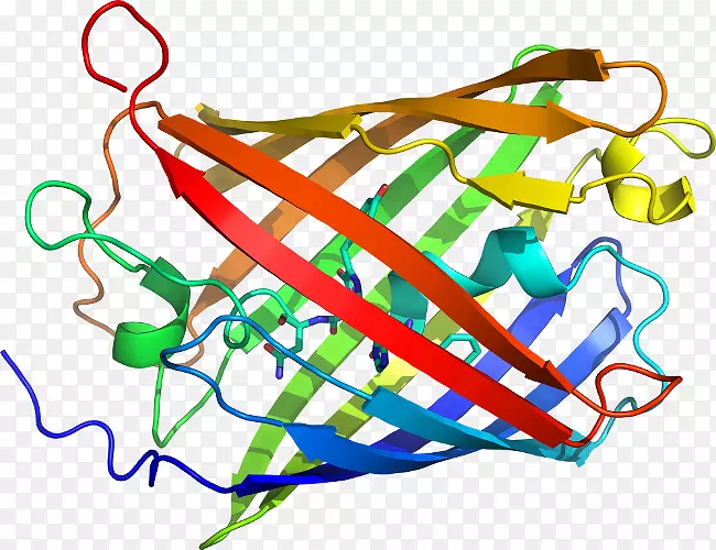 �ߵ������-��-������