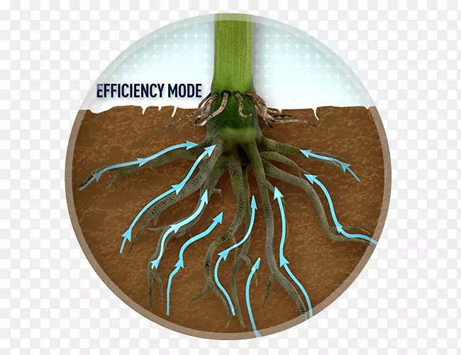 ����-������