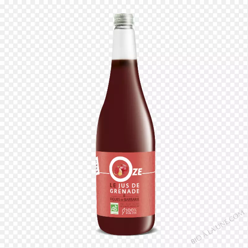 ʯ��֭��-������