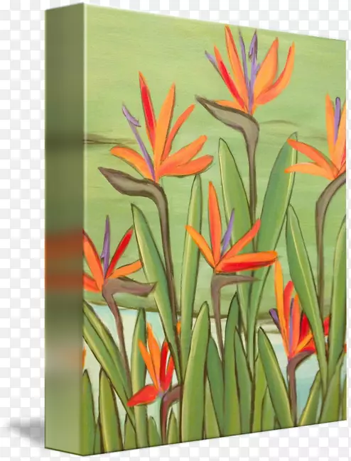 ����ֲ���ϩ��Ϳ�Ͼ�����ϩ����֬-����֮����-������