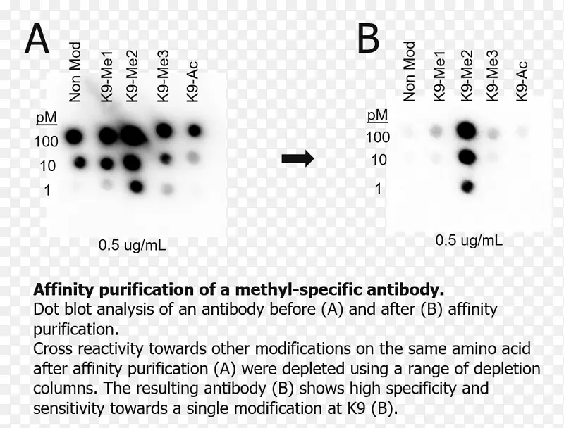 Ʒ���ߵ�������-������