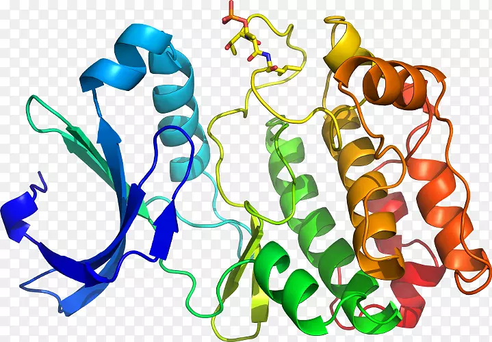 ���������л����߼�������-������