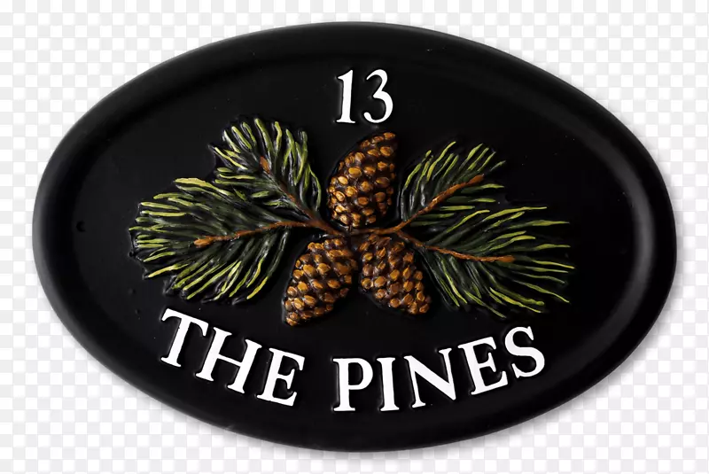 ʥ����װ��ʥ����-������