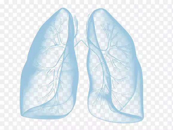 ����Ь�ΰ�-������