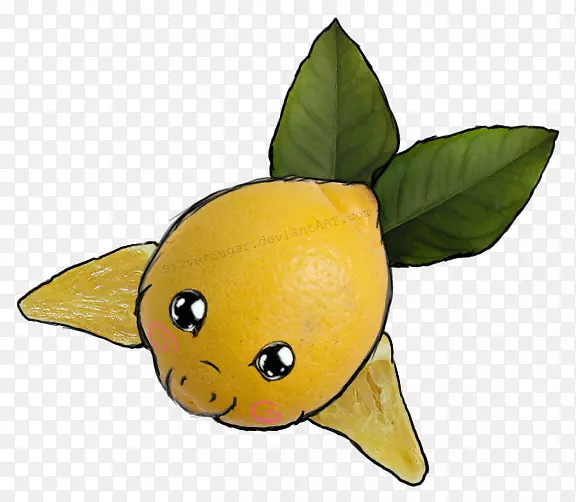 ����ֲ��ˮ����ֲ��.��-������