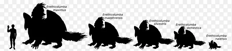 ���ƾ���������-������