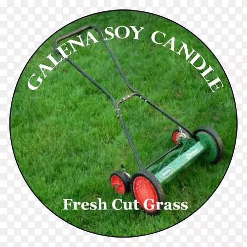 ��ƺ��-������